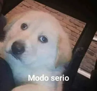 Sticker 😐 Jack Reed