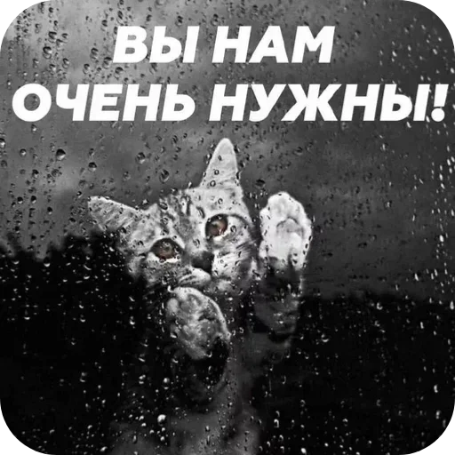 Telegram sticker 🙏 convenience