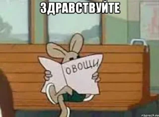 Video sticker 👋 convenience