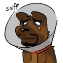 Video sticker ❄ Wulfer 1