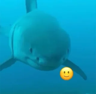 Telegram sticker 🙂 Deep In The Ocean