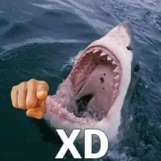 Telegram sticker 🫵 Deep In The Ocean