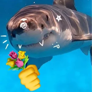 Telegram sticker 🦈 Deep In The Ocean