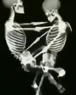 Video sticker 😳 𝗿𝗮𝗺𝗱𝗼𝗺? :: @fStikBot