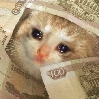 Telegram sticker 😭 Crying Cat Deluxe