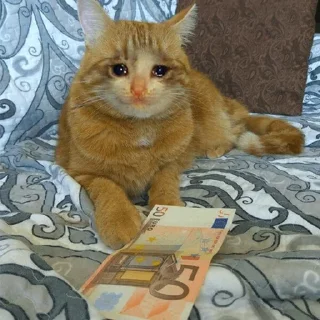 Telegram sticker 😭 Crying Cat Deluxe