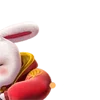 Video sticker 🐇 WiN5333.com