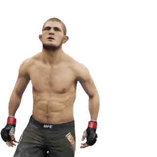 Video sticker 👌 UFC @stickerstgrm
