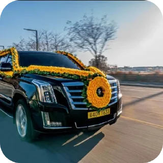 Sticker 🚗 팬치티콘