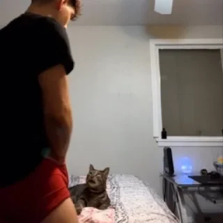 Telegram sticker 🌟 very demure :: @fStikBot