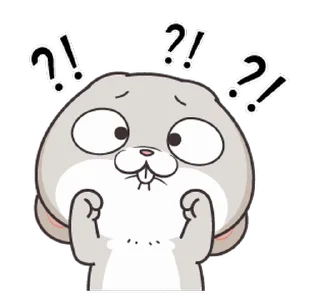 Video sticker ⁉️ Miss Rabbit @Stickersey