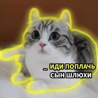 Telegram sticker 🌟 Комарики :: @fStikBot