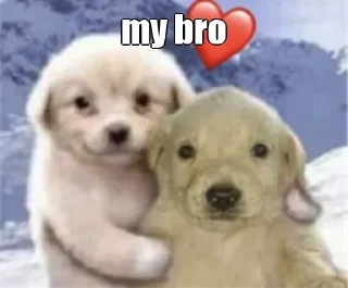 Video sticker ✔️ Bakloli Time 🌚