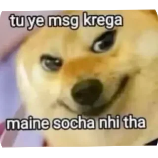 Telegram sticker 😊 DOGESHSTK D0gesh_7 @StickersPackRobot