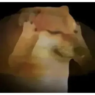 Video sticker 🤨 DOGESHSTK D0gesh_7 @StickersPackRobot