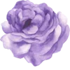 Sticker 💜 Watercolor Purple 💜 @thedolcestudio