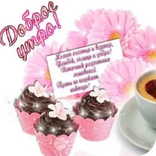 Video sticker 🍽 шакалы | @bukaaa18