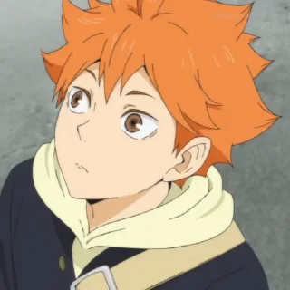 Video sticker ☀️ Hinata shoyo @anime_stickersidn