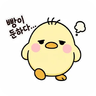 Video sticker 🙂 불장제발by@lmslms1004