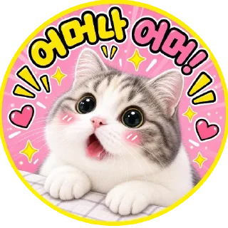 Telegram sticker 🐱 불장제발by@lmslms1004