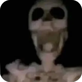 Video sticker 💀 William's custom