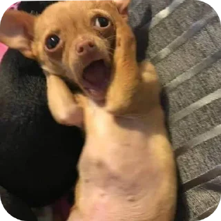 Telegram sticker 😧 William's custom