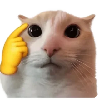 Telegram sticker 🐱 meowmeow😍😍