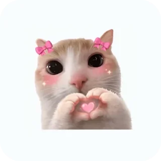 Telegram sticker 🐱 meowmeow