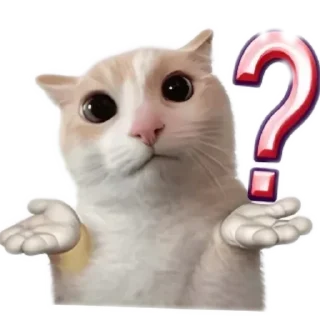 Sticker 🐱 meowmeow😍😍