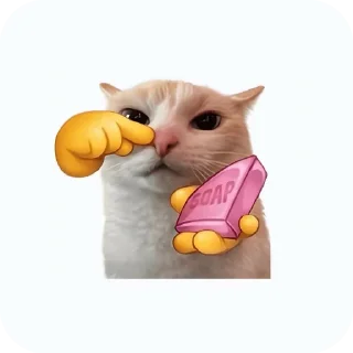 Video sticker 🐱 meowmeow