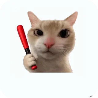 Telegram sticker 🐱 meowmeow