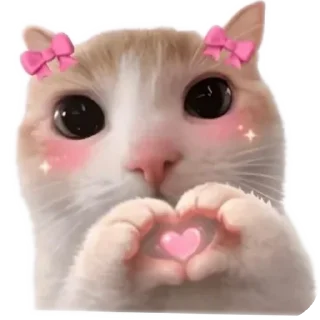 Telegram sticker 🐱 meowmeow😍😍