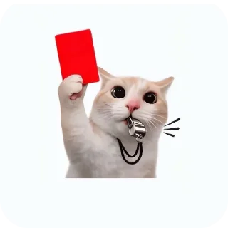 Video sticker 🐱 meowmeow