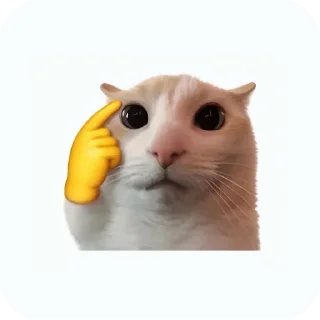 Telegram sticker 🐱 meowmeow