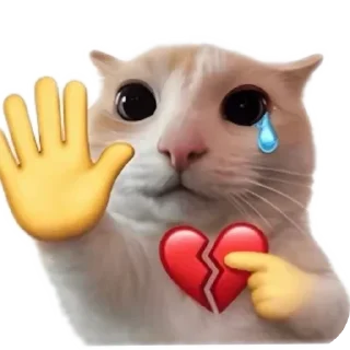 Telegram sticker 🐱 meowmeow😍😍