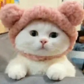 Video sticker 😊 @English_chatting_group21 :: @fStikBot