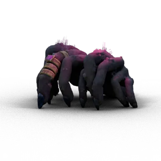 Video sticker 🌀 Elden Ring | Stickers | @GameStickersAndEmojis |