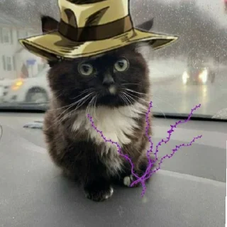 Video sticker 😄 Чмоньки ДжоДжо