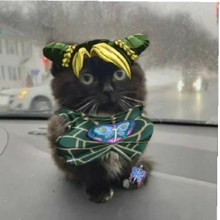 Video sticker 😄 Чмоньки ДжоДжо
