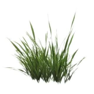 Telegram stiker 🪴 Больше стиков тут: @stikery4