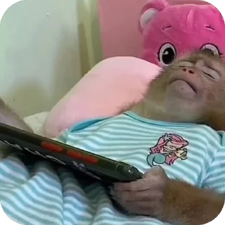 Telegram sticker 🦾 @m7zrr