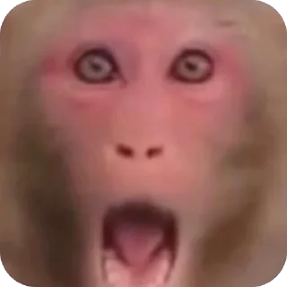 Telegram sticker 🧐 @m7zrr