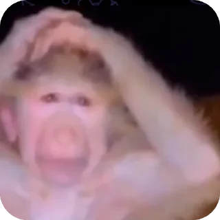 Telegram sticker 🧍‍♂️ @m7zrr