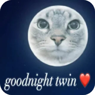 Telegram sticker 🤗 Sile Anxy's Shit 2