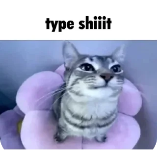 Video sticker 🤪 Sile Anxy's Shit 2