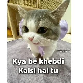 Video sticker 🐱 Shubh [ @Shubh_FtG ]