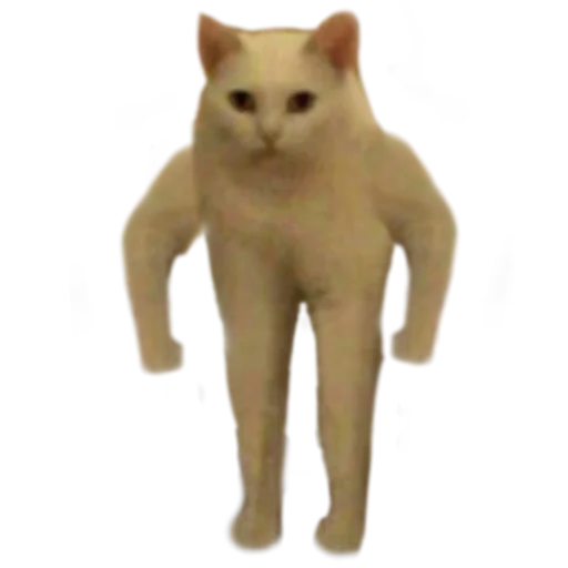 Telegram sticker 🐱 @WBRMEMES