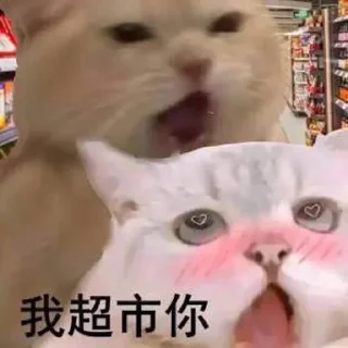Video sticker 👍 大爱无疆 @wsdsb1586