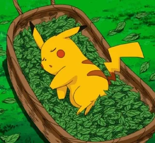 Video sticker 🛌 pokéreaction