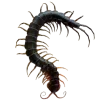 Sticker 🐛 – ᴅᴇ ᴠɪᴛɪɪs ᴇᴛ ᴄʀᴇᴇᴘʏ. :: @fStikBot
